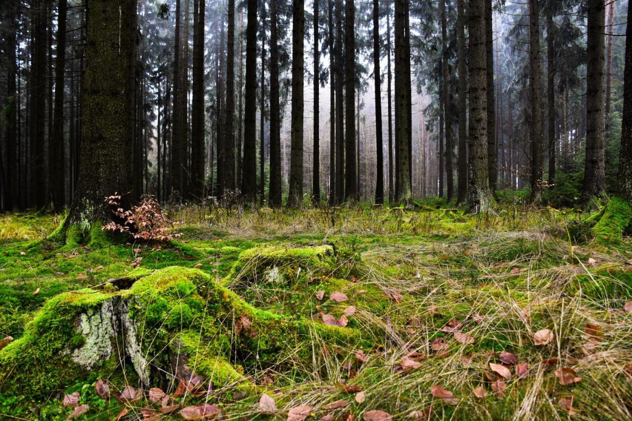 Hostinec a penzion U Rezků Jistebnice Exteriér fotografie